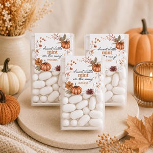 May include: Three clear rectangular boxes filled with white oval mints, each topped with a white card featuring a watercolour pumpkin and floral wreath design, the text "Sweet Little mint on the way!" and the date "20.09.2025" printed in brown.