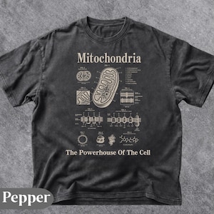 May include: A charcoal gray t-shirt featuring a beige scientific diagram of mitochondria. The graphic includes the text Mitochondria and The Powerhouse Of The Cell, along with various labeled biological structures, cross-sections, and molecular formulas.