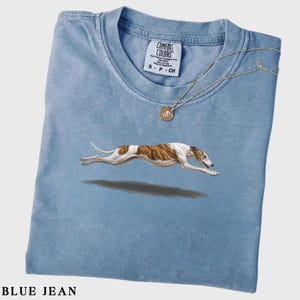 Op de afbeelding: Een lichtblauw t-shirt met een afbeelding van een rennende gestroomde en witte windhond. Het shirt heeft een ronde hals en een Comfort Colors merklabel in de kraag. Een dunne goudkleurige ketting met een kleine ronde hanger ligt op de stof.