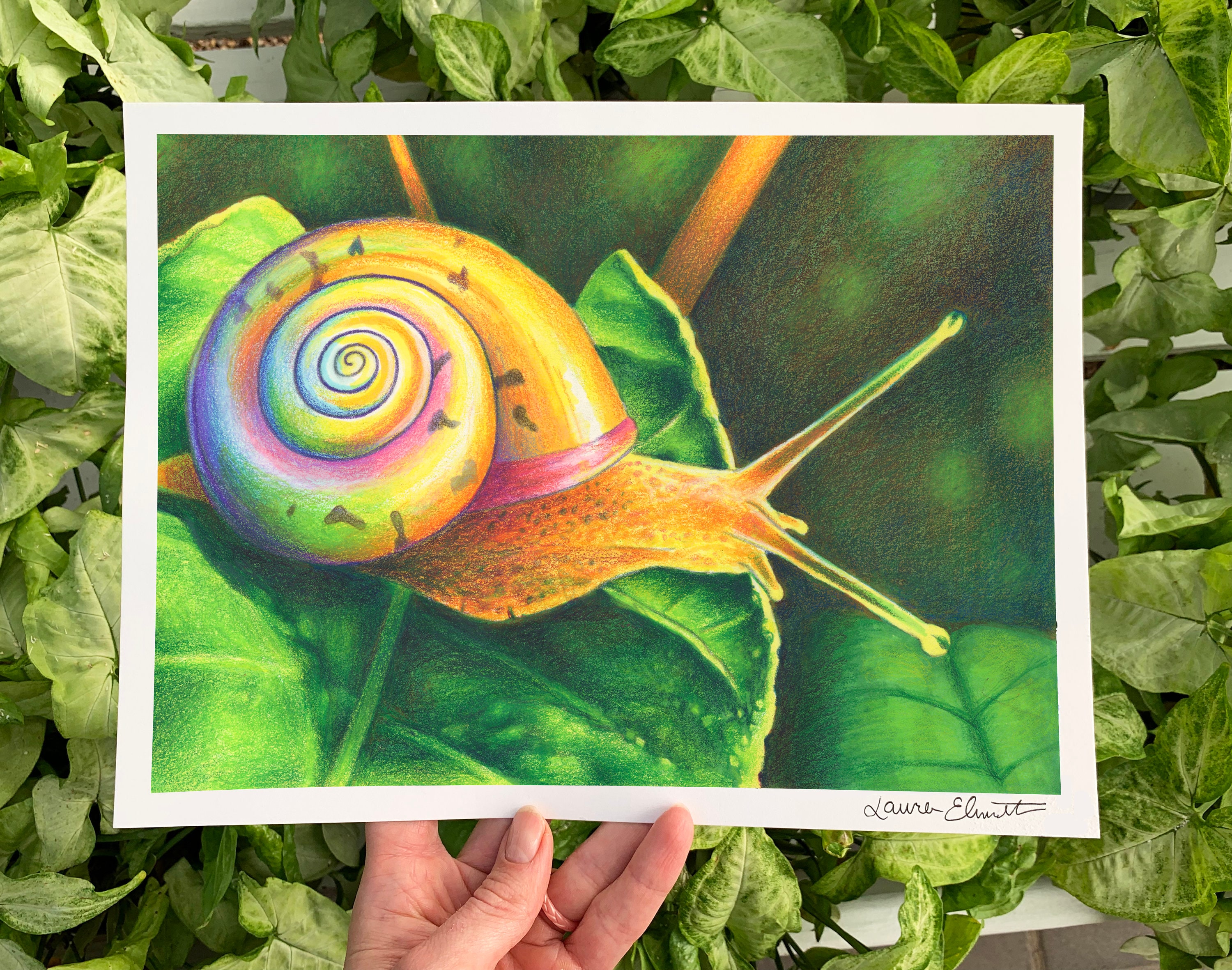 カラフルなカタツムリの絵画 虹色のカタツムリの殻のアートプリント、カラフルな壁飾り - Etsy 日本