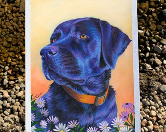 Colorful Black Lab Art Print, Dog Lover Gift, Labrador Retriever