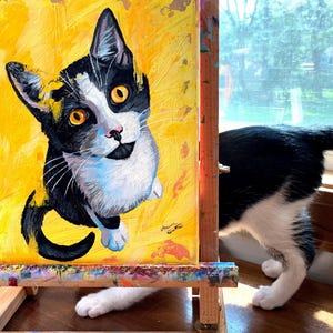 Beginner schilderen kat, 12-stappen zelfstudie katten schilderen, kunsttherapie gebaseerd, kattenliefhebbers, smokingkat, beginnende kunstenaar, acrylschilderij