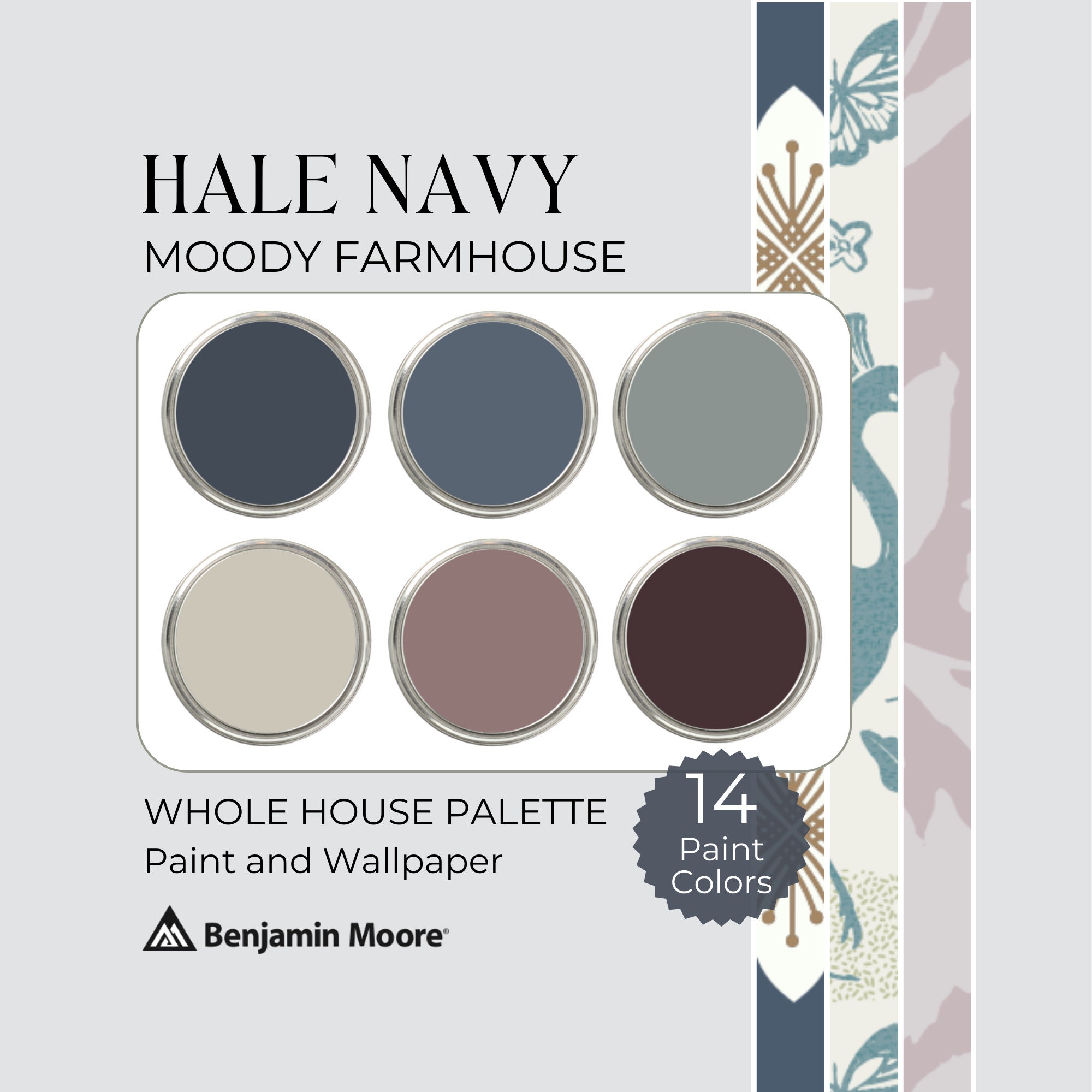 Hale Navy Paint Palette Benjamin Moore Color Palette Moody Modern