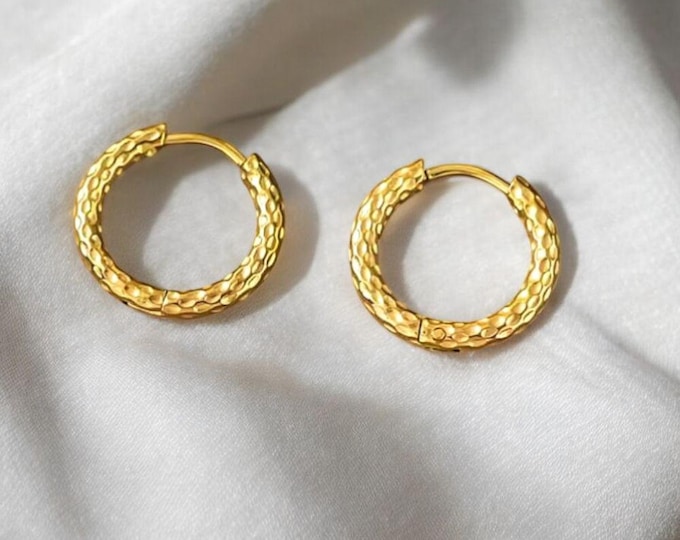 Hoop Earrings Stainless Steel - Shiny Gold Earrings, Jewelry for Women