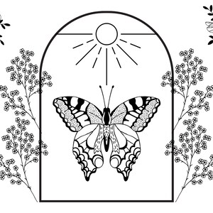 butterfly colouring page
