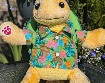 Schildkröte baue einen Bär Sommer urlaubsreif