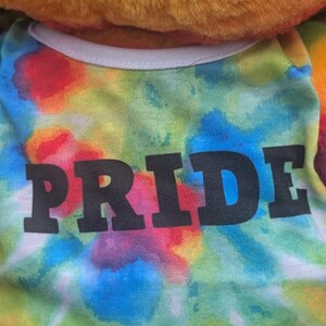 Großer Stolz Regenbogen Frosch Build A Bear im Ruhestand Limitierte Auflage