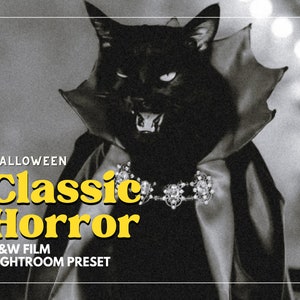 10 HALLOWEEN B&W Lightroom Mobile and Desktop Presets, Dark Preset, Halloween Instagram Filter, Spooky Preset, Black and White Preset Horror