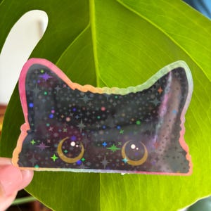 Rainbow cat sticker, cat sticker, cat lover sticker, black cat,  holographic sticker, waterproof sticker
