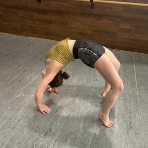 Circus Shorts | Pole Dance | Aerial Performance Shorts | Athletic Wear | Velvet