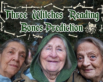 Clairvoyant Psychic Reading Same Day, Bone Reading, Direct Channeled Message from Spirits, Osteomancy Medium Ritual by Three Witches