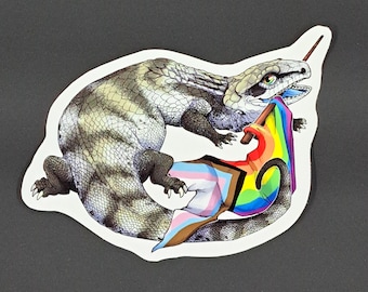 Pride Blue-Tongued Skink