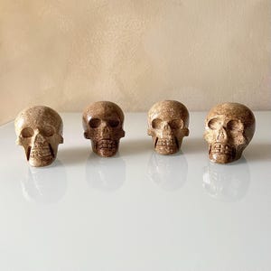 Onyx Skull