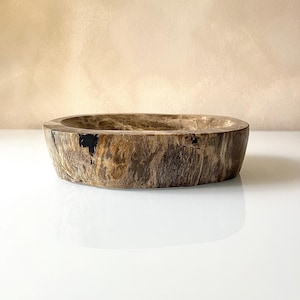 Petrified Wood Bowl
