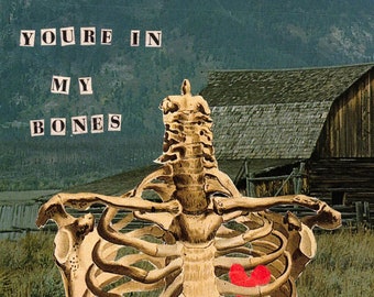 May include: A vintage anatomical illustration of a human ribcage with a red heart in the center. The text "YOU'RE IN MY BONES" is printed in black letters on a white background. The image is set against a backdrop of a green field and a wooden barn.