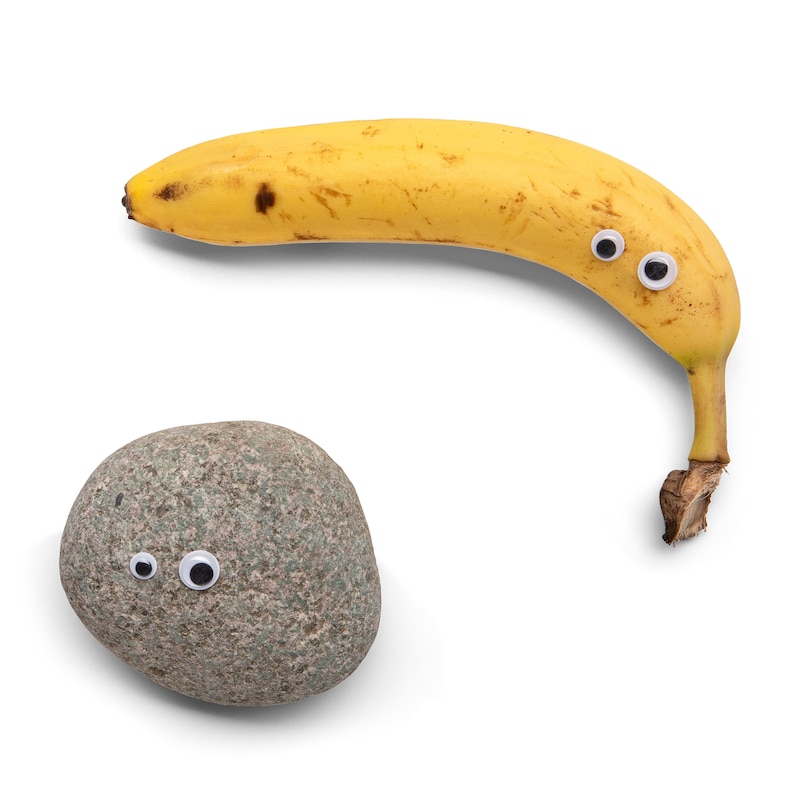 May include: A yellow banana with googly eyes and a gray rock with googly eyes.