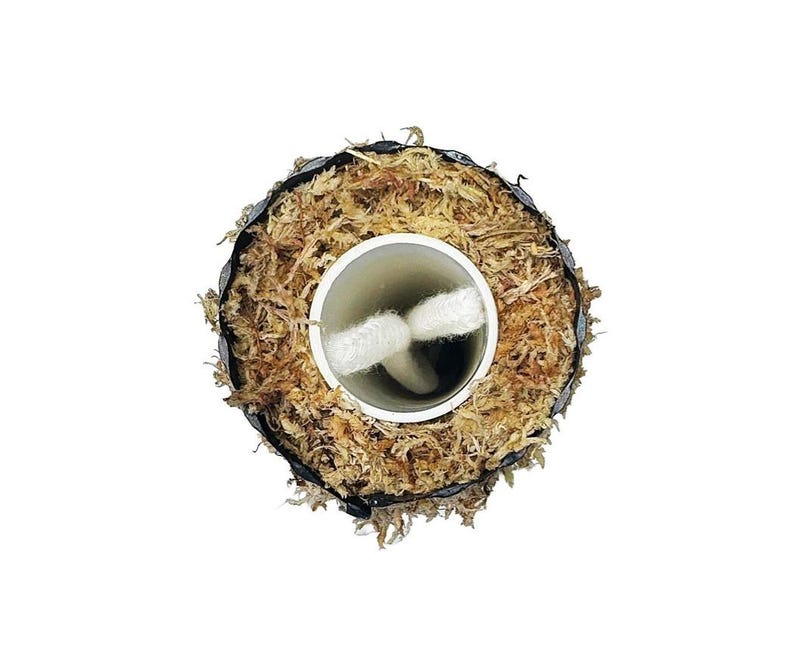Self Watering Moss Pole w/Aroid Mix - Extendable - with Stabilizing Base and Self-Fastening Tie - Top View