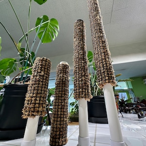 Self Watering Moss Pole - Extendable - with Stabilizing Base and Self-Fastening Ties