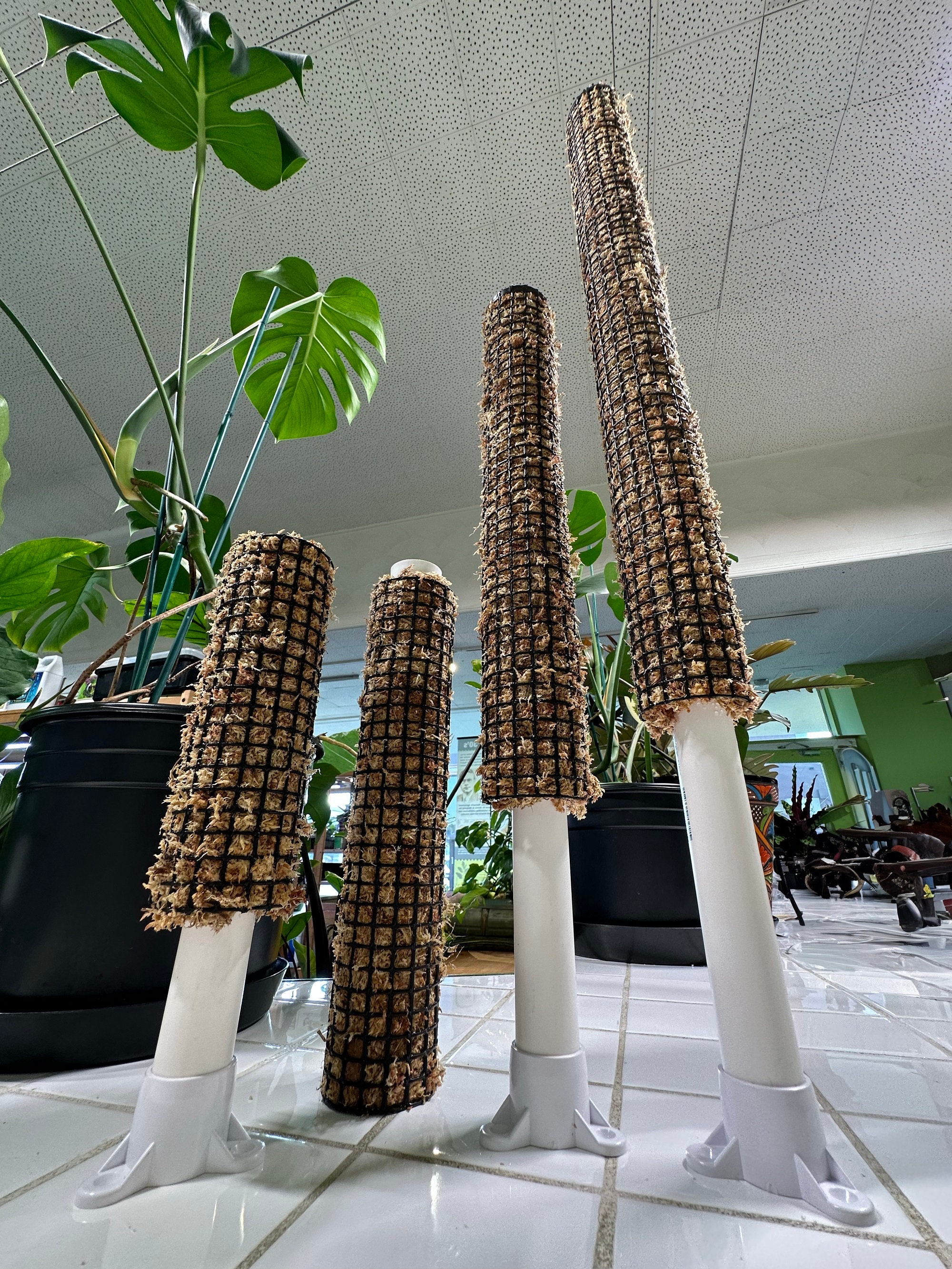 Self Watering Moss Pole - Extendable - with Stabilizing Base and Self-Fastening Ties