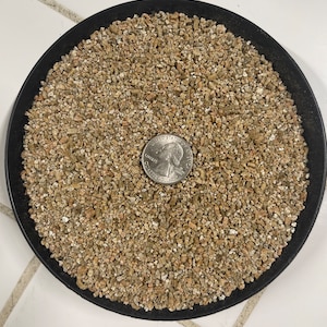 May include: A close-up of a black plate filled with a light brown, coarse, granular material. A US quarter is placed on top of the material for scale.