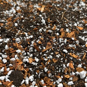 FINE Aroid Mix - an artisanal mix for philodendron, monstera, alocasia and other plants that prefer a light, quick draining medium