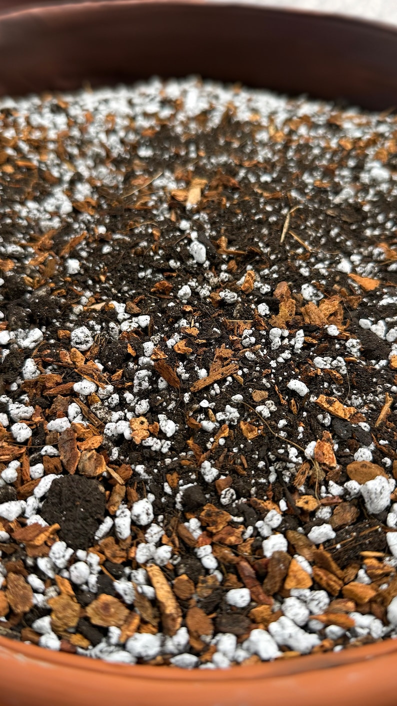 FINE Aroid Mix - an artisanal mix for philodendron, monstera, alocasia and other plants that prefer a light, quick draining medium