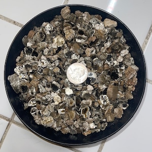 May include: A black bowl filled with small, silvery-grey mica flakes. A US quarter is included for scale.