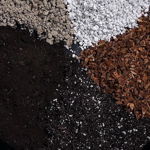 FINE Aroid Mix - an artisanal mix for philodendron, monstera, alocasia and other plants that prefer a light, quick draining medium