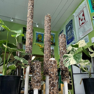 Self Watering Moss Pole w/Aroid Mix - Extendable - with Stabilizing Base and Self-Fastening Tie