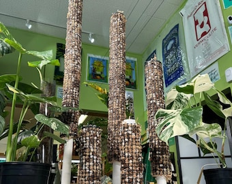 Self Watering Moss Pole w/Aroid Mix - Extendable - with Stabilizing Base and Self-Fastening Tie