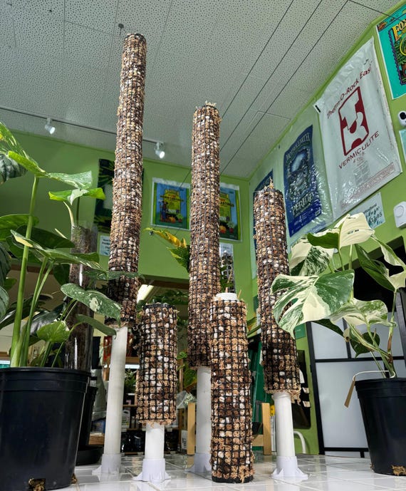 Self Watering Moss Pole w/Aroid Mix - Extendable - with Stabilizing Base and Self-Fastening Tie