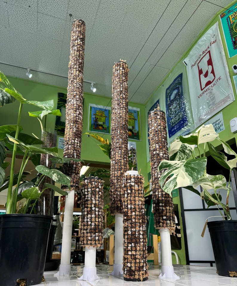 Self Watering Moss Pole w/Aroid Mix - Extendable - with Stabilizing Base and Self-Fastening Tie - Group Shot