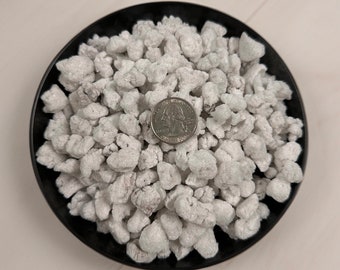 CHUNKY Perlite #4 - 1 QUART - 100% Natural - Extra Large & Coarse - Horticultural Grade