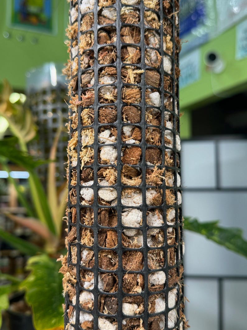 Self Watering Moss Pole w/Aroid Mix - Extendable - with Stabilizing Base and Self-Fastening Tie - Close-up of Aroid Mix