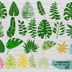 Tropical leaves svg, monstera leaf svg clipart, commercial use svg,  jungle leaves clipart, palm branch svg, tropical party decor, Leaves