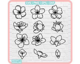 Cherry blossom SVG, Sakura flowers Svg, Cherry flowers clipart, Spring flowers for cricut, Blooming tree, Flower svg bundle, floral svg