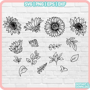 Girasol SVG, paquete de girasoles SVG, flores silvestres SVG, flores y hojas, archivos de corte SVG de flores, paquete de girasoles SVG, paquete de flores SVG