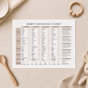May include: A printed baby's weaning chart with a list of fruits, vegetables, protein, grains, and dairy. The chart is on a beige surface with a wooden spoon, bowl, wooden teether, and a stuffed bunny.