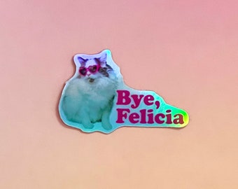 Bye Felicia Sticker, Friday Movie cat stickers, Holographic Die-cut Decal, kindle stickers, laptop sticker, tumbler decal