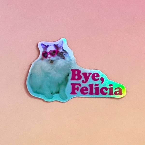 Bye Felicia Sticker, Friday Movie cat stickers, Holographic Die-cut Decal, kindle stickers, laptop sticker, tumbler decal