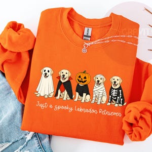 Może przedstawiać: Pomarańczowa bluza z okrągłym dekoltem z grafiką przedstawiającą pięć labrador&oacute;w w kostiumach na Halloween, w tym ducha, wampira, dynię, mumię i szkielet. Tekst pod psami brzmi: Just a spooky Labrador Retriever.