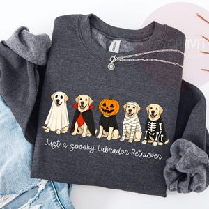 Może przedstawiać: Ciemnoszara bluza z okrągłym dekoltem z grafiką przedstawiającą pięć labrador&oacute;w w kostiumach na Halloween, w tym ducha, wampira, dynię, mumię i szkielet. Tekst pod psami brzmi, Just a spooky Labrador Retriever.
