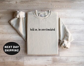 Hold on I'm Overstimulated Sweater, Trendy Sweater, Mental Health Sweater, Cute Sweatshirt, Gift for Her, Women's Trendy Sweatshirt
