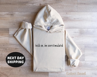 Hold on I'm Overstimulated Hoodie, Trendy Sweater, Mental Health Sweater, Cute Hoodie, Gift for Her, Women's Trendy Sweatshirt, Hold on