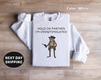 Hold on Partner I'm Overstimulated Sweater, Trendy Sweater, Mental Health Sweater, Cute Sweatshirt, Gift for Her, Women's Trendy Sweatshirt