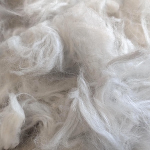 Raw Angora Rabbit Wool – 1oz – Ultra Soft Fiber From French and German ...