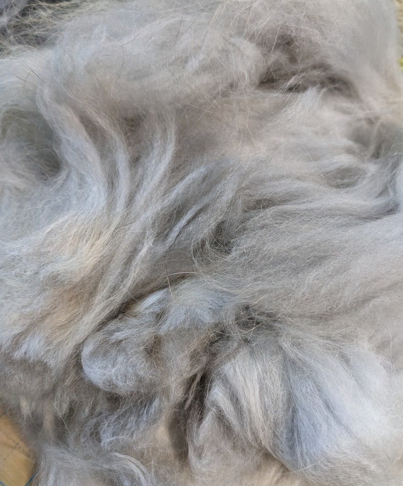 Raw Angora Rabbit Wool – 1oz – Ultra Soft Fiber From French and German ...