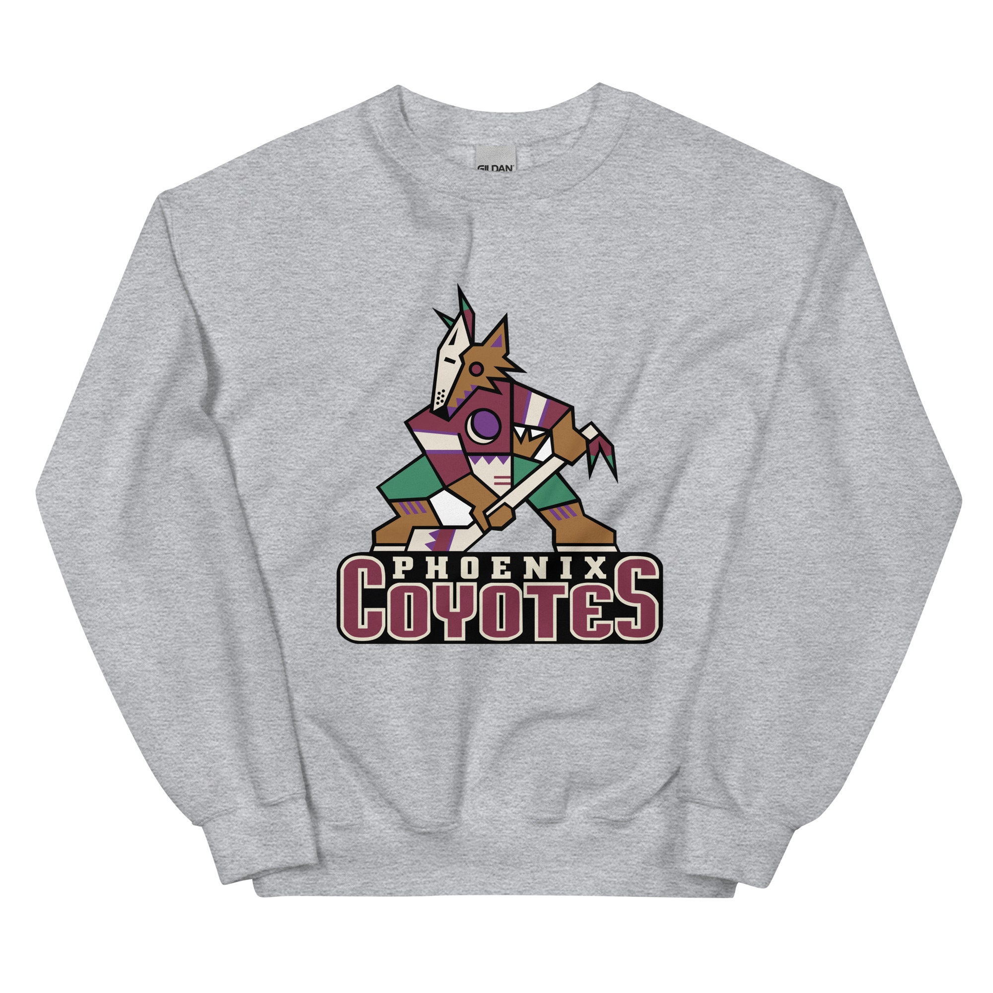 Arizona Coyotes Ed Jovanovski #55 NHL SUPER AWESOME PHOENIX Size XL SGA  Jersey!