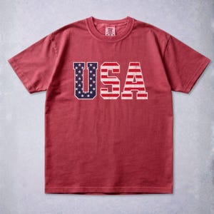 Vintage USA Flag Shirt, Patriotic Americana Tee, Comfort Colors Unisex T-Shirt Brick
