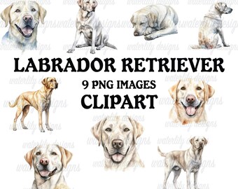 Pakiet clipartów z labradorem retrieverem: obrazy PNG w stylu akwarelowym (do pobrania w wersji cyfrowej)